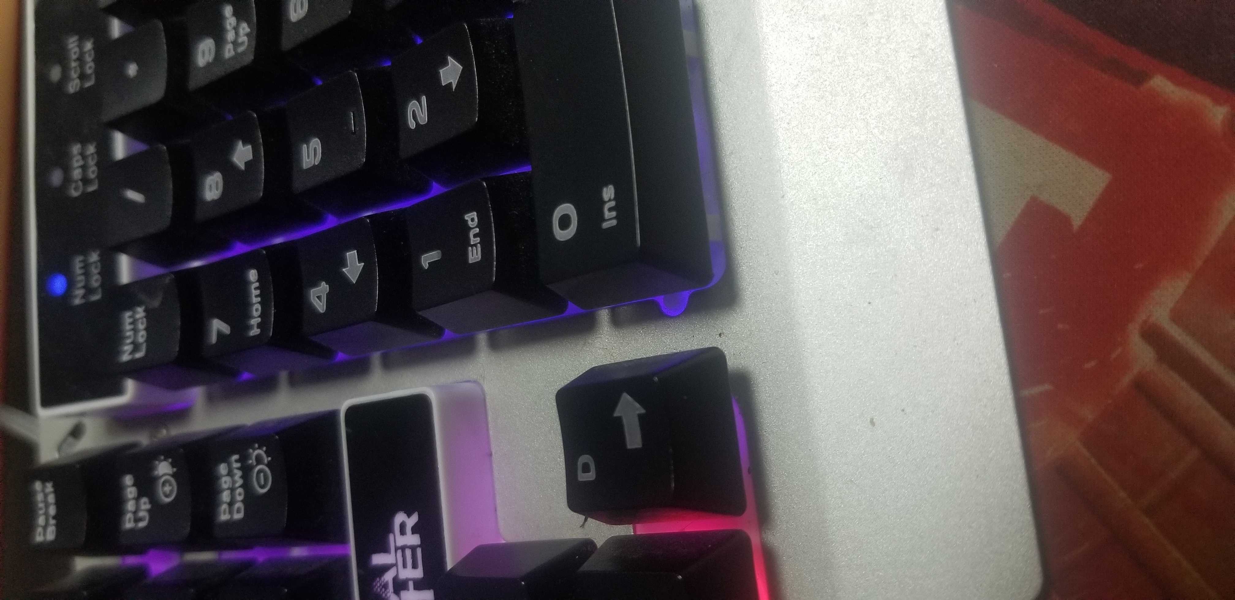 Gdbgd